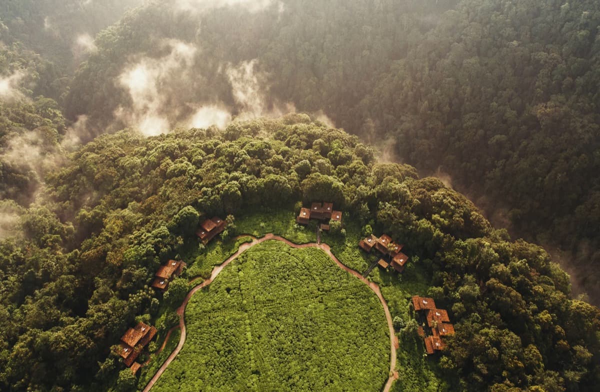 Luxury Wellness & Retreat